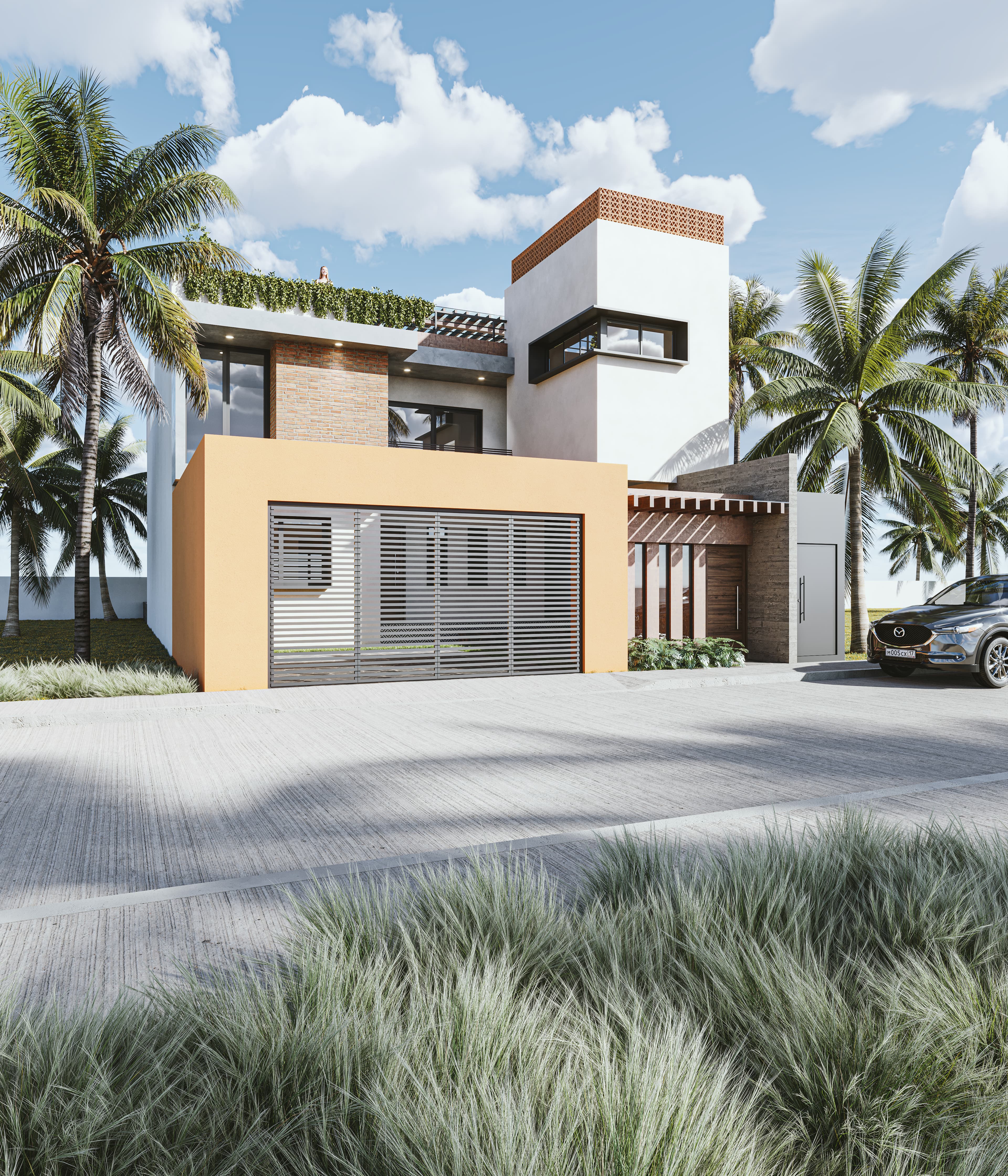 TERRA NATIVA - Vista principal